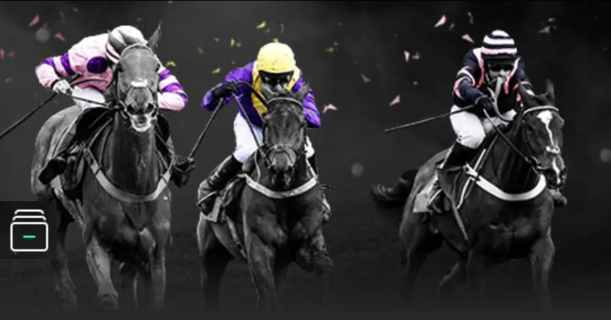 楊冪主演離,婚劇,馮紹峰等前,世界杯转播,2026世界杯,直播渠道,赛事信息,观看方式